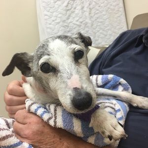 Meet your Posher, Pat